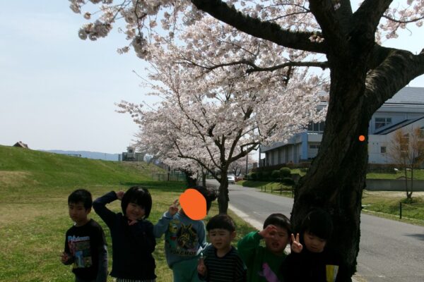 🌸お花見🌸