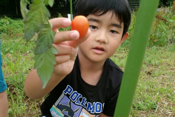 はるなのファーム🍅