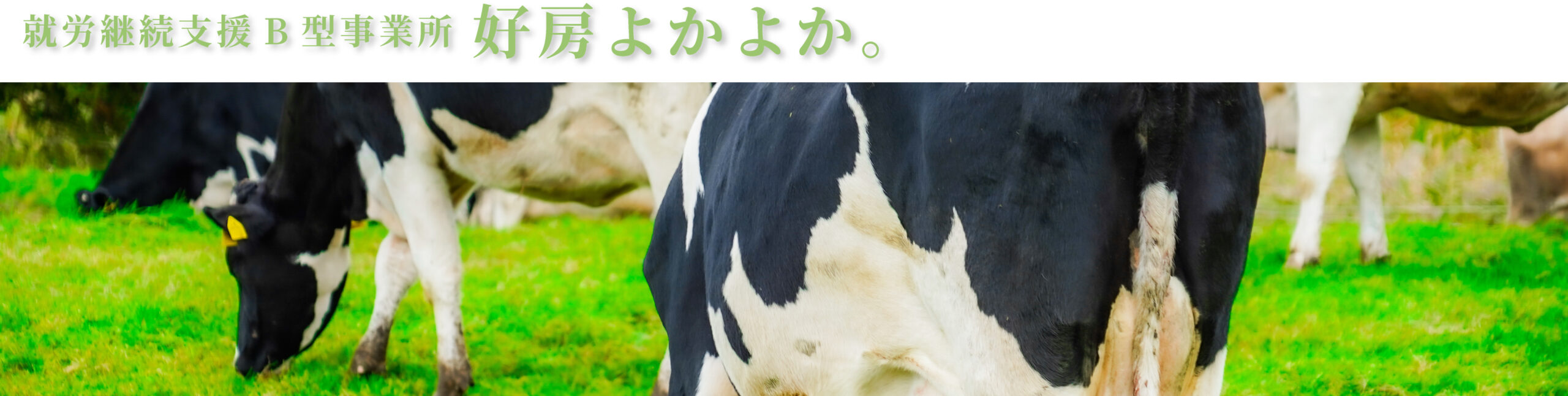 ヘッダー